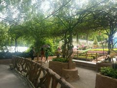 -是拉差龙虎园(Permanently closed)