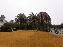 -美兰湖景区