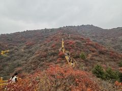 -水峪民俗村