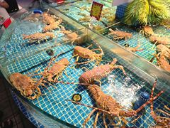 -驻海渔市(置信店)