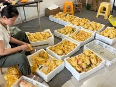 -南汇水蜜桃采摘(大团店)