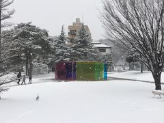 -金泽21世纪美术馆