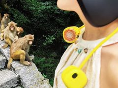 -神农山景区