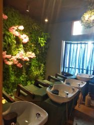 -藤野造型·专业烫染店