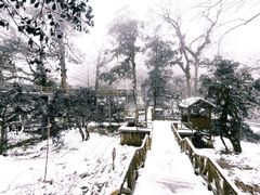 -龙苍沟森林公园