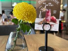 -gaga(深圳南山益田假日广场店)