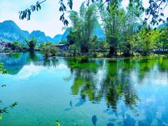 -靖西鹅泉风景区