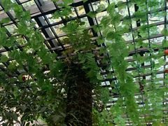 -阿鹏故事云南野生菌火锅(人民路店)