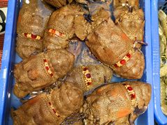 -吴记富苑(朝阳店)