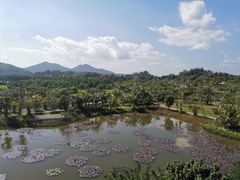 -沙美村