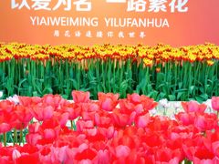 -上海鲜花港