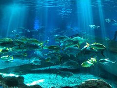 -福州罗源湾海洋世界旅游区