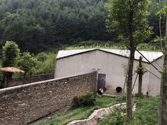 -卧龙中华大熊猫苑神树坪基地