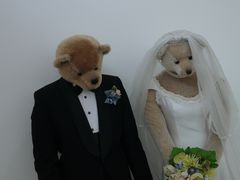 景点-济州岛泰迪熊博物馆