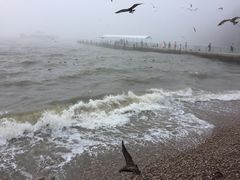 -海驴岛(荣成市)