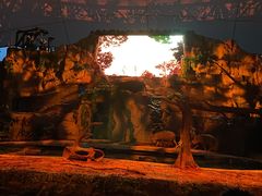 -夜间野生动物园