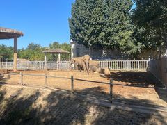 -石家庄市动物园