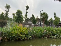 -枫香湖儿童公园