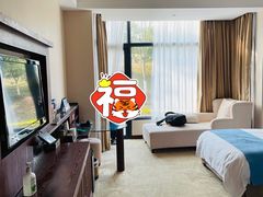 -洪湖悦兮半岛国际温泉度假村
