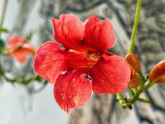 -宁波市保国寺古建筑博物馆