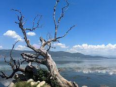 -大理洱海