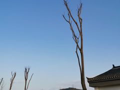 -矮寨·十八洞·德夯大峡谷景区