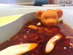 -青瓷火锅料理(西单大悦城店)