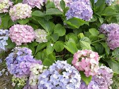 -人民公园(罗湖区)