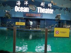 -苏州海洋馆