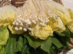 -同仁四季椰子鸡(福田东园总店)