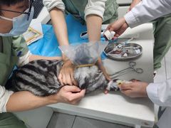 -达爱动物医院·犬猫分区·CT·复杂眼科(远洋山水分院)