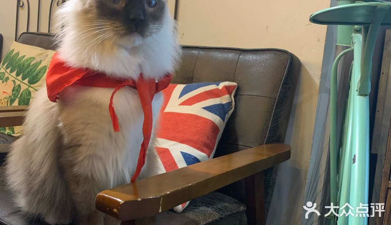 爽朗可口,祝店家生意兴隆!