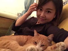 -Sirena海妖日咖夜酒