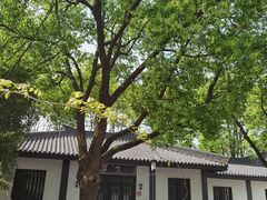 -宜兴龙背山森林公园