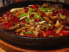 -老板恋上鱼(高新万达店)