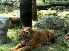 -北京野生动物园