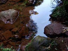 -赤水丹霞旅游区·佛光岩