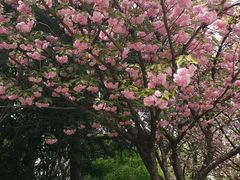 -满江悦手作点心(开元地中海店)