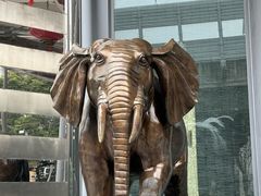 -文杏酒楼(一品天下店)