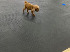 -FIGHTMAN格斗俱乐部(长宁临空店)