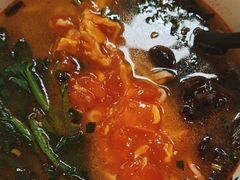 -老碗会·陕西手工面(前海世茂店)