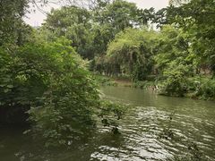 -花溪公园