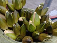 -北沙滩(地铁站)