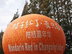 -前小桔亲子创意农场·草莓采摘·露营烧烤