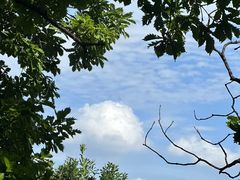 -吉林市朱雀山国家森林公园