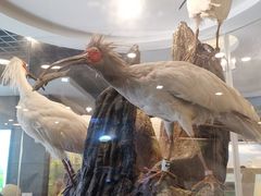 -下渚湖国家湿地公园科普馆