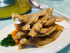 特色野生烤仔鱼-上海精菜馆(虎踞关店)