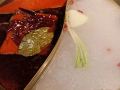 -矮冬瓜红茶火锅