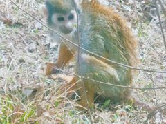 -青藏高原野生动物园