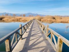 -野鸭湖国家湿地公园